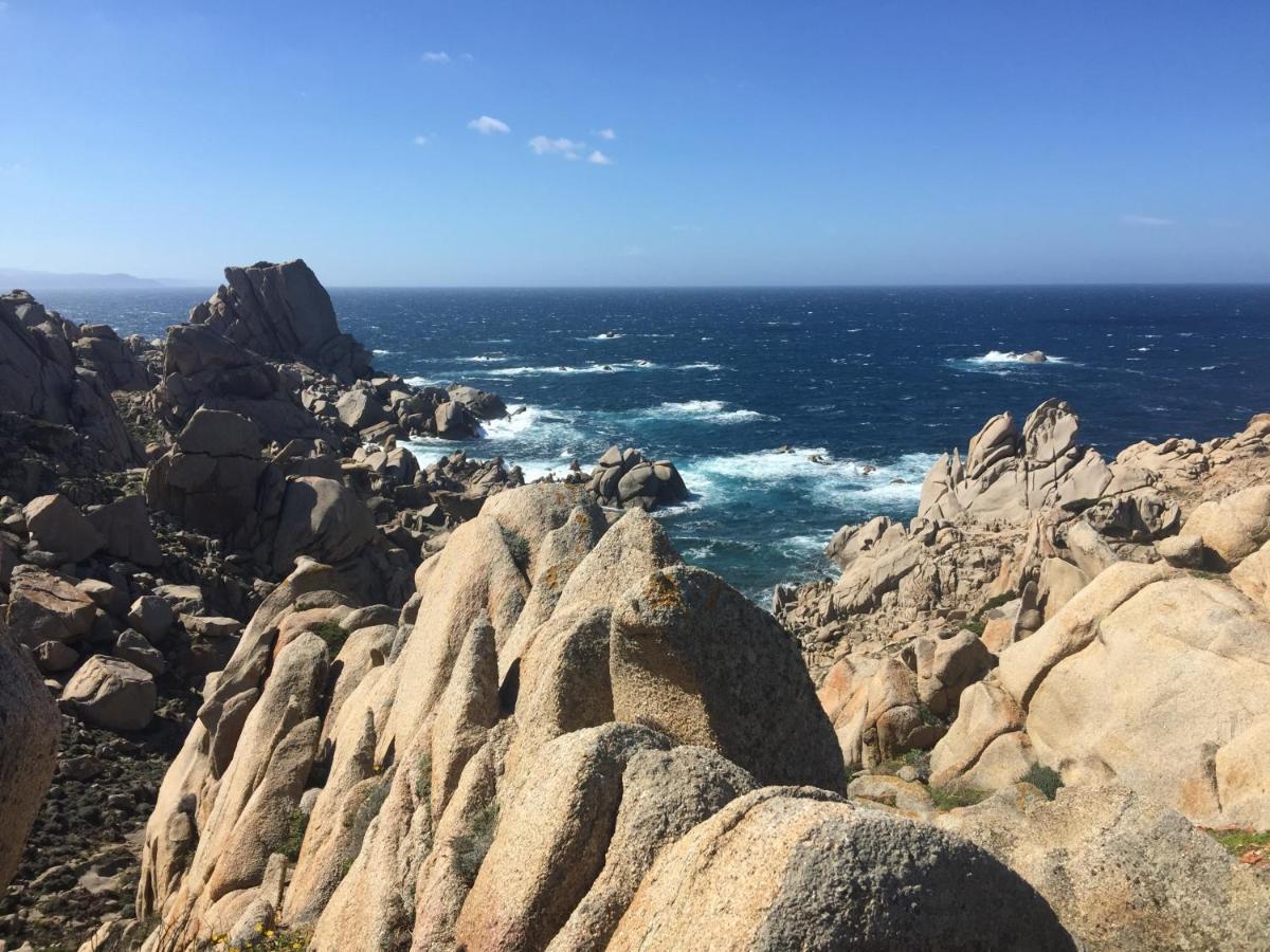 Carrabean Sea In The North Of Sardegna, With Swimming Pool Villa Viddalba Exteriör bild