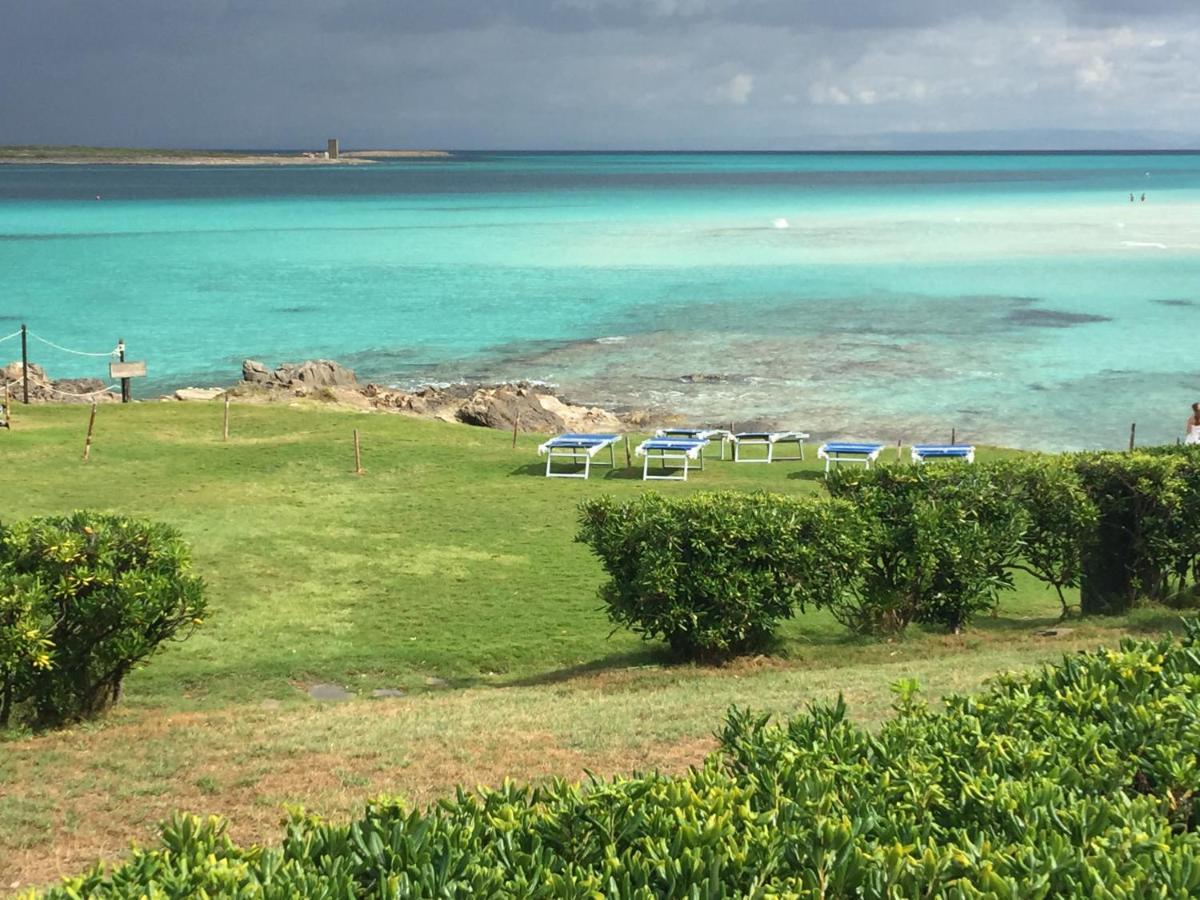 Carrabean Sea In The North Of Sardegna, With Swimming Pool Villa Viddalba Exteriör bild