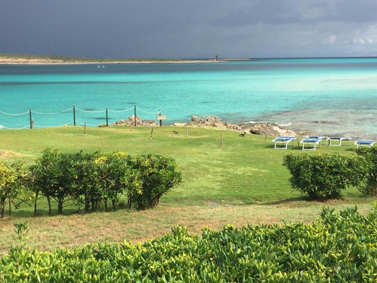 Carrabean Sea In The North Of Sardegna, With Swimming Pool Villa Viddalba Exteriör bild