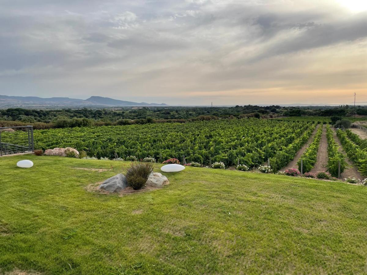 Carrabean Sea In The North Of Sardegna, With Swimming Pool Villa Viddalba Exteriör bild