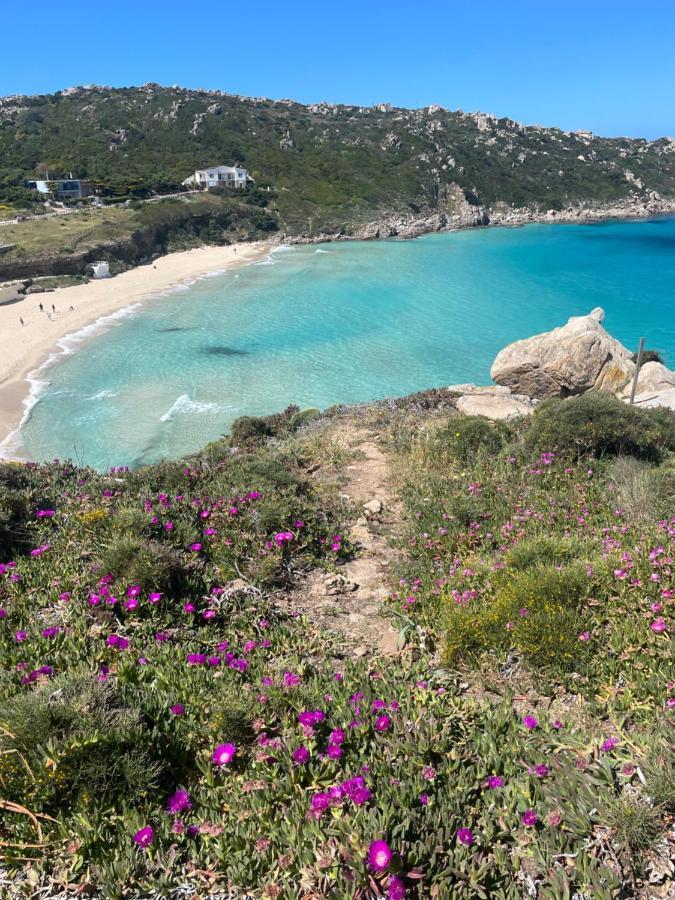 Carrabean Sea In The North Of Sardegna, With Swimming Pool Villa Viddalba Exteriör bild